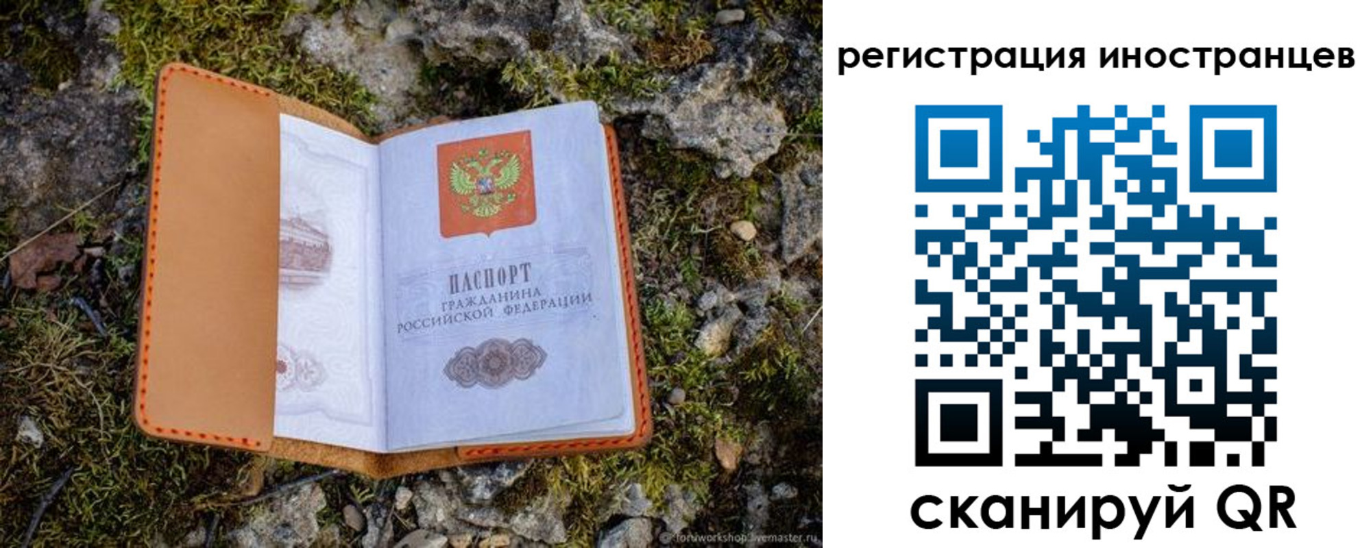 прописка паспорт в Бердске